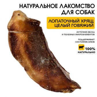 Лопаточный хрящ говяжий (целый)